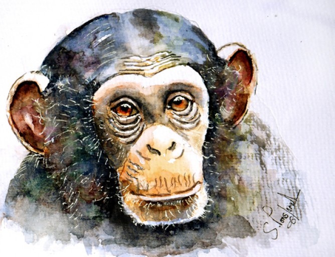 Cool colored chimpanzee portrait tattoo design