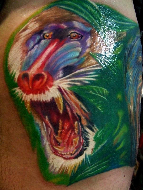 Cool colorful baboon on green background tattoo