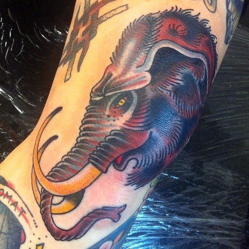 Cool colorful mammoth tattoo on arm