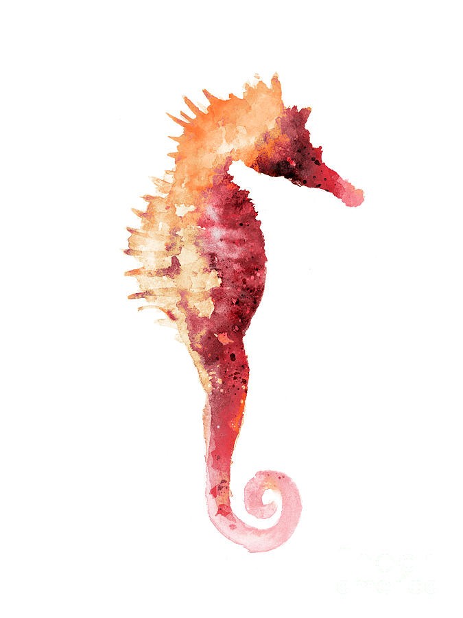 Cool coral watercolor seahorse by Joanna Szmerdt