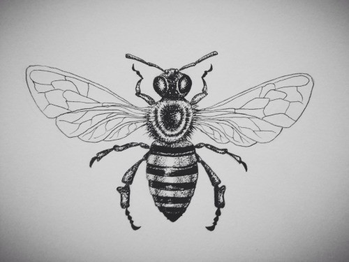 Cool dotwork-body bee with clear wings tattoo design