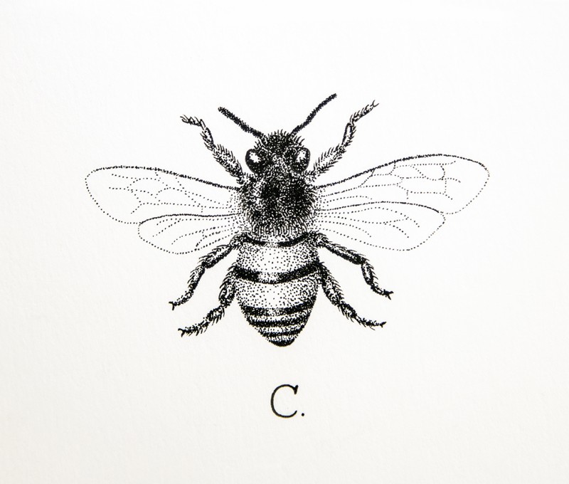 Cool dotwork bee tattoo design