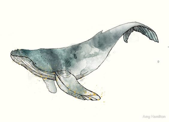 Cool grey watercolor whale tattoo design