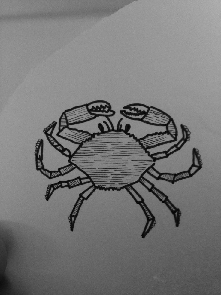 Cool little lined crab tattoo design by Christopher Bradford