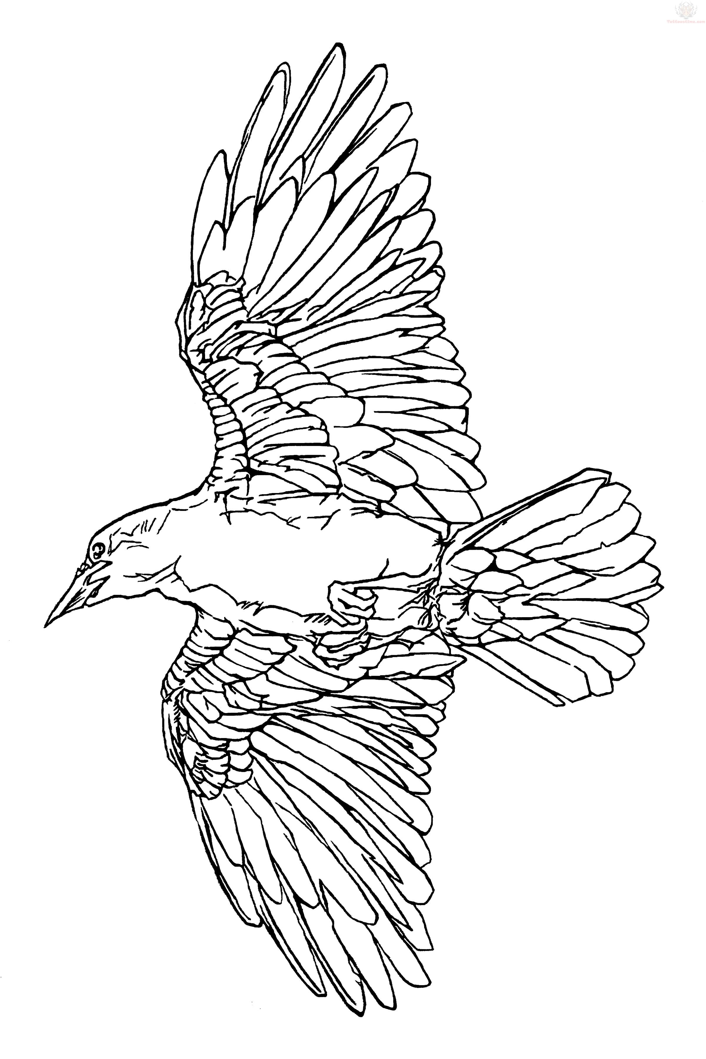 Cool outline flying raven tattoo design