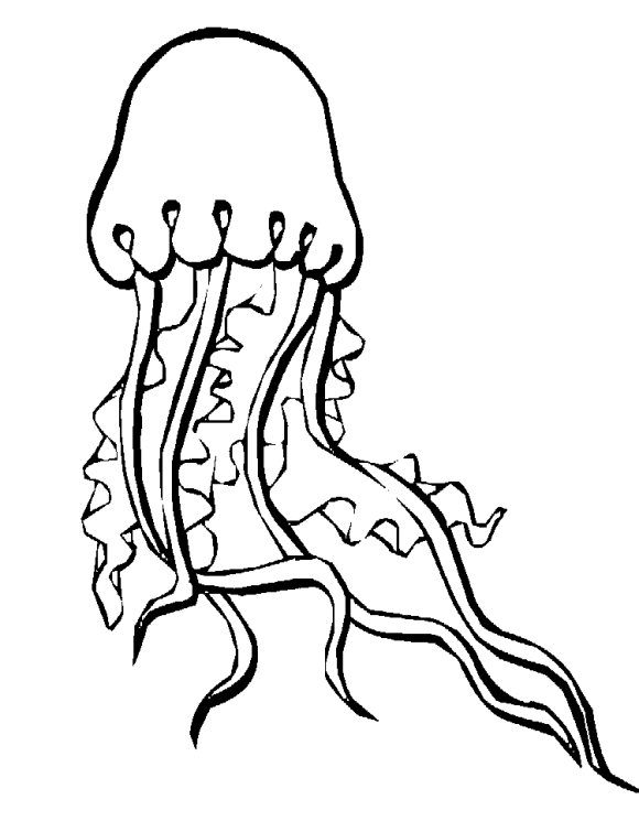 Cool outline frill-tentacled jellyfish tattoo design