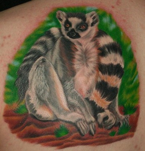 Tatuaje en la espalda,
lémur realista, colores brillantes