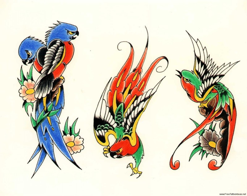 Cool traditional colored parrot tattoo designs