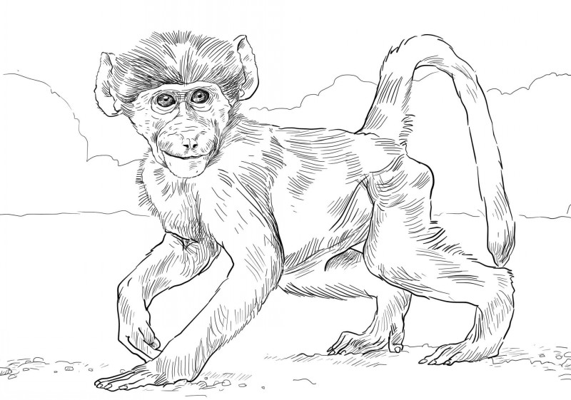 Cool uncolored baboon baby tattoo design