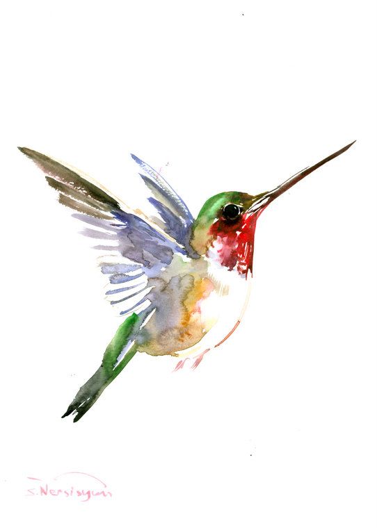 Cool watercolor flying hummingbird tattoo design