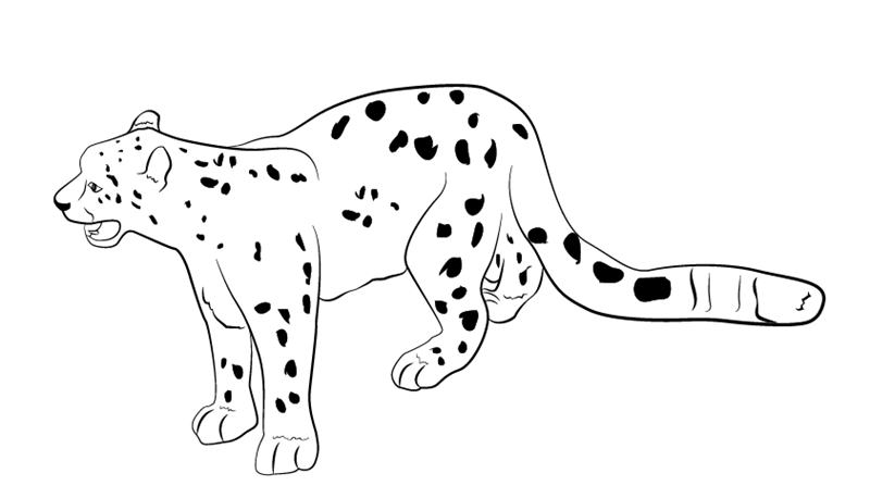 Coot cartoon outline cheetah tattoo design