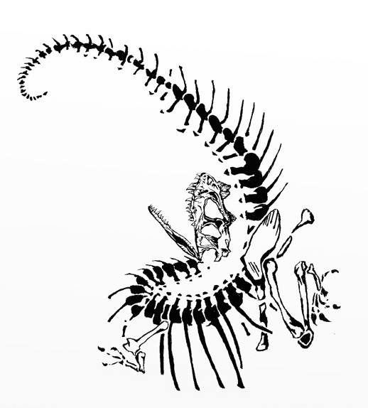 Crazy dinosaur skeleton tattoo design