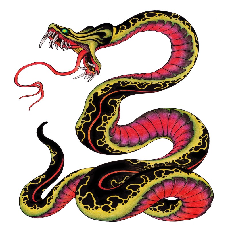Crazy hissing snake with pink belly tattoo design