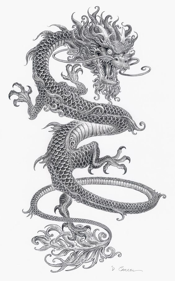 Crazy thin grey-ink chinese dragon tattoo design