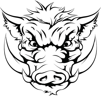 Cunning outline wild pig muzzle tattoo design