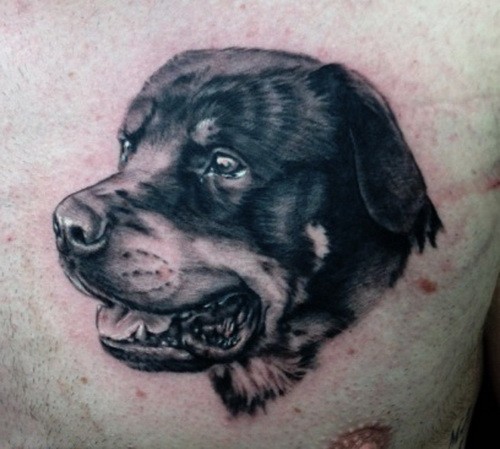 Cute black-and-white rottweiler head tattoo on chest