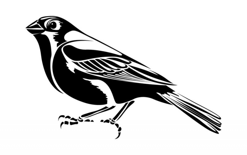 Cute black-and-white static sparrow tattoo design by Coyotehills