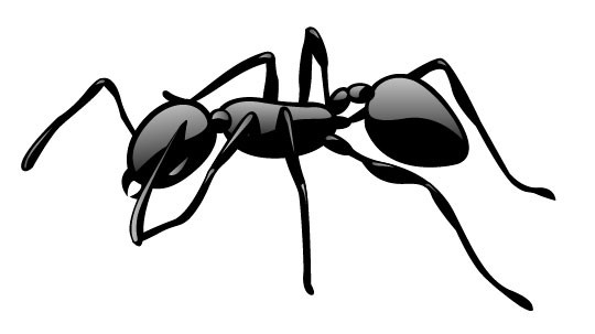 Cute black ant with specks tattoo design
