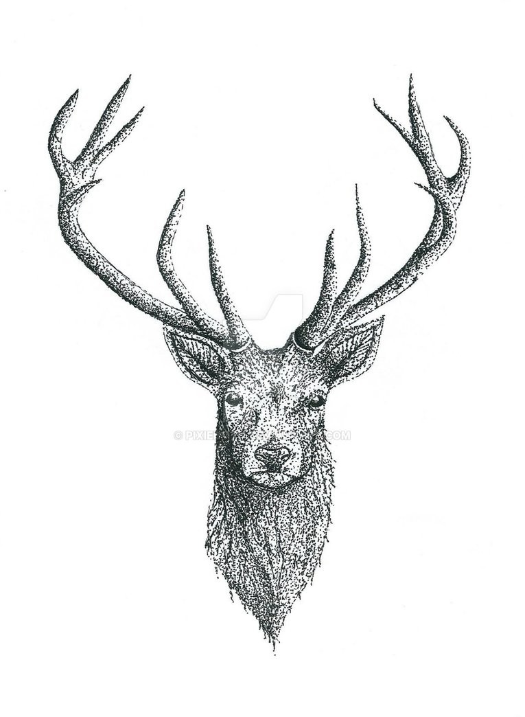 Cute grey-ink deer tattoo design by Pixiebmth