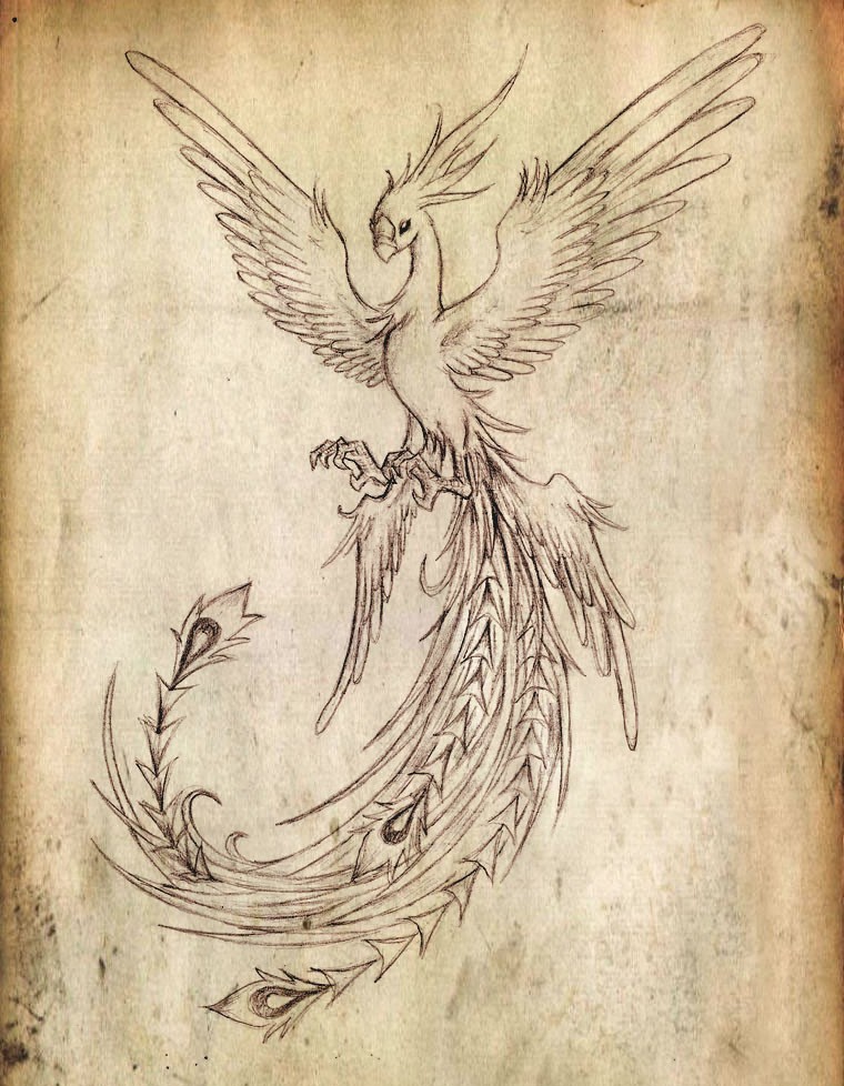 Cute pencilwork rising phoenix tattoo design