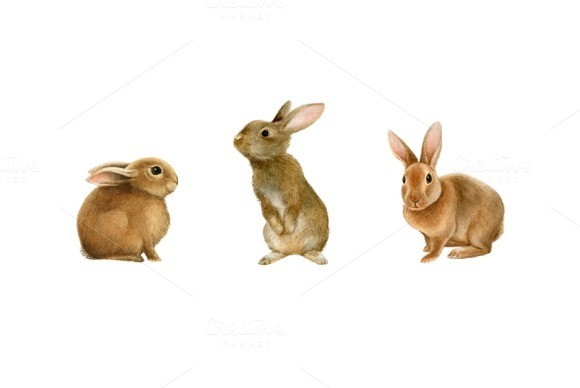 Cute realistic brown hares in different poses tattoo design
