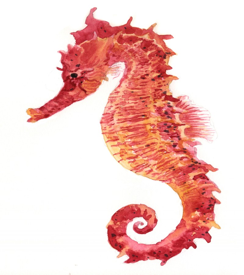 Cute red-and-yellow seahorse tattoo design