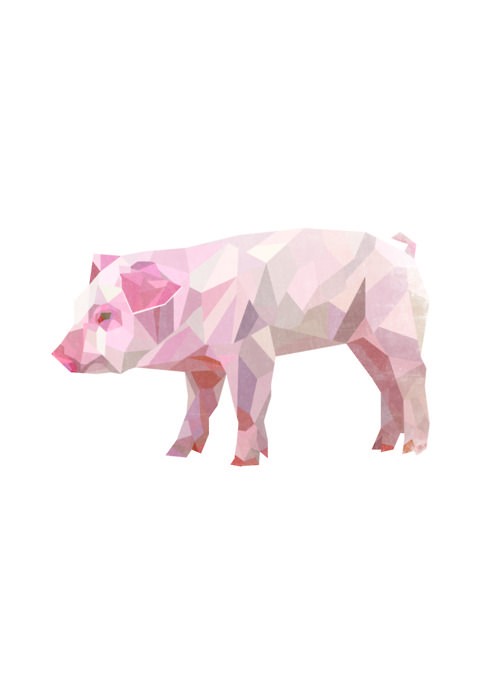 Cute rosy geometric static pig tattoo design