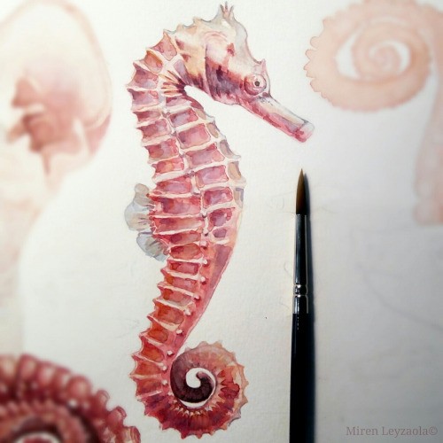 Cute rosy seahorse tattoo design