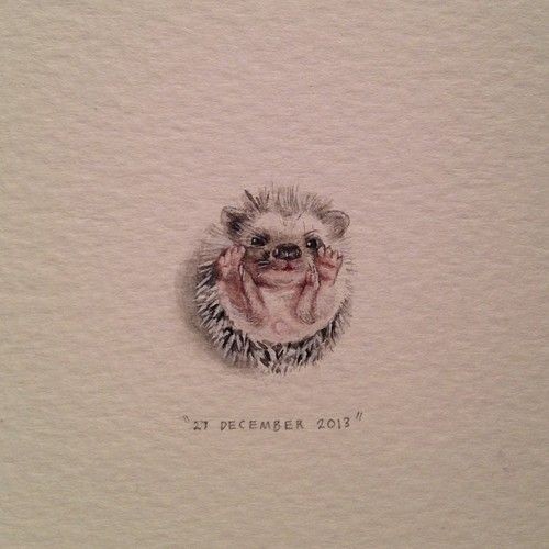 Cute tiny curled hedgehog tattoo design
