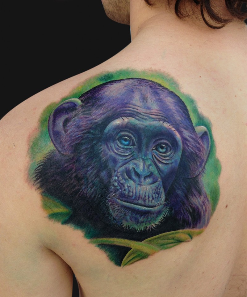 bella testa scimpanze` colore viola in tropico tatuaggio su scapola