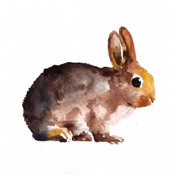 Cute watercolor sitting hare tattoo design