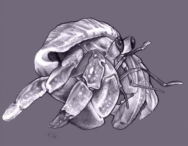 Cute white-ink hermit crab tattoo design