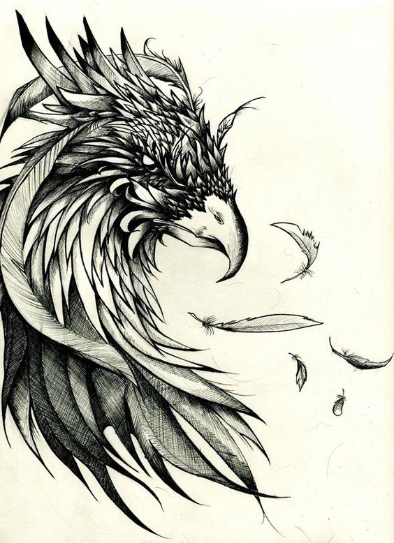 Dangerous black-and-white eagle head with falling feathers tattoo design