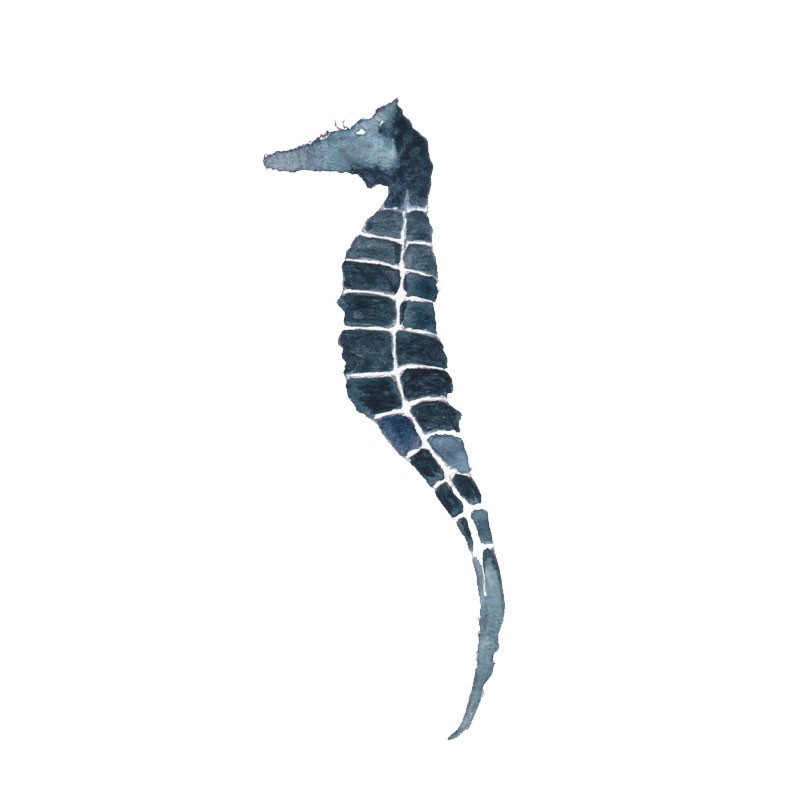 Dark blue seahorse figure without flippers tattoo design