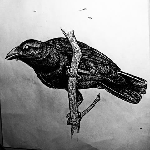 Dark dotwork bird sitting on branch tattoo design