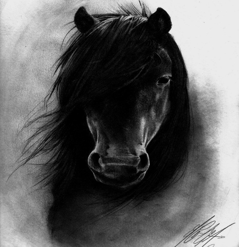 Dark realistic horse portrait tattoo design