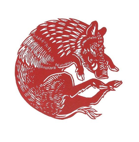 Dark red-ink wild pig in curled pose tattoo design