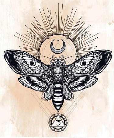 Death moth with reversed moon and shining sun tattoo design