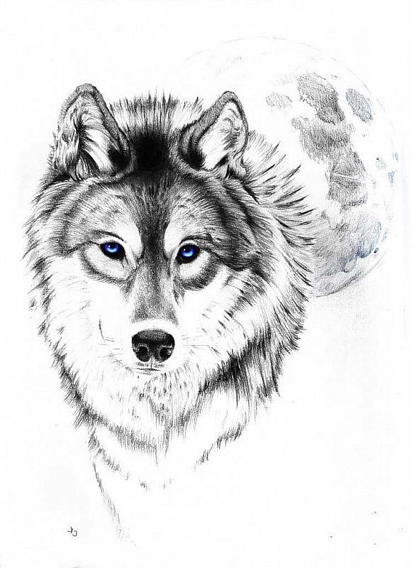 Delectable blue-eyed wolf on full moon background tattoo design