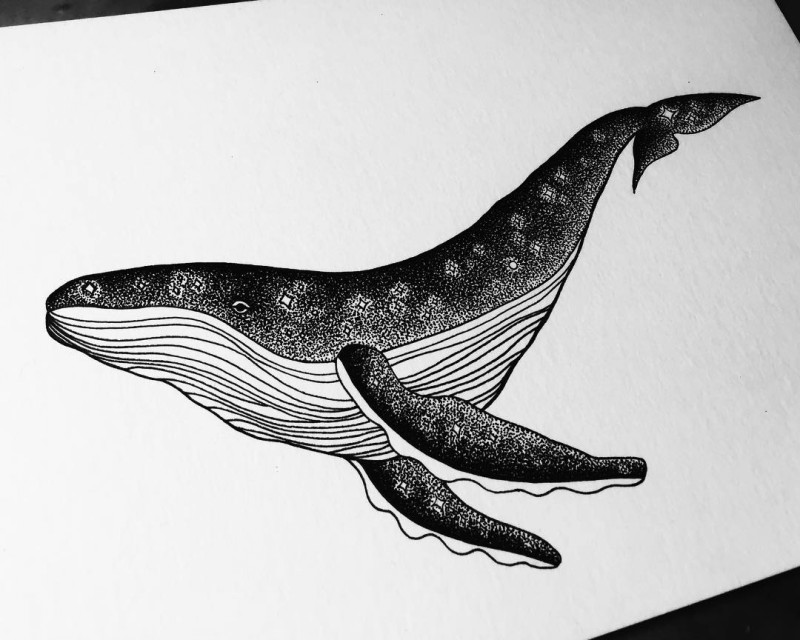 Densly dotwork whale with small decorated prints tattoo design