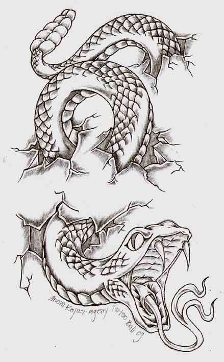 Dire snake tiering the bakground tattoo design by Anomkojar