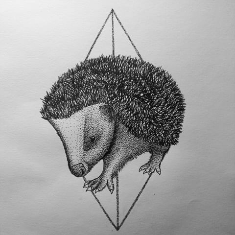 Dotwork-style hedgehog on rhombus background tattoo design