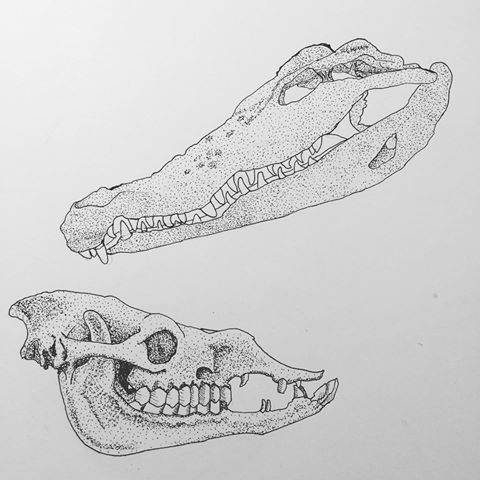 Dotwork reptile skulls tattoo design
