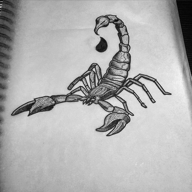 Dotwork scorpion with drop of poison on sting tattoo design