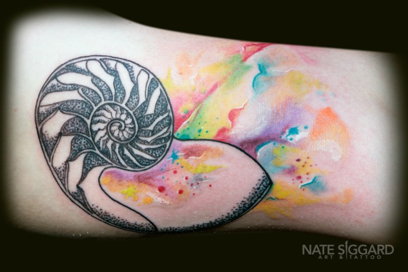 Tatuagem do nautilus da tinta preta do estilo de Dotwork