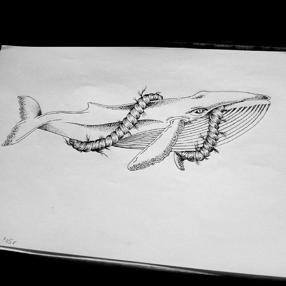 Dotwork whale curled with rope tattoo design