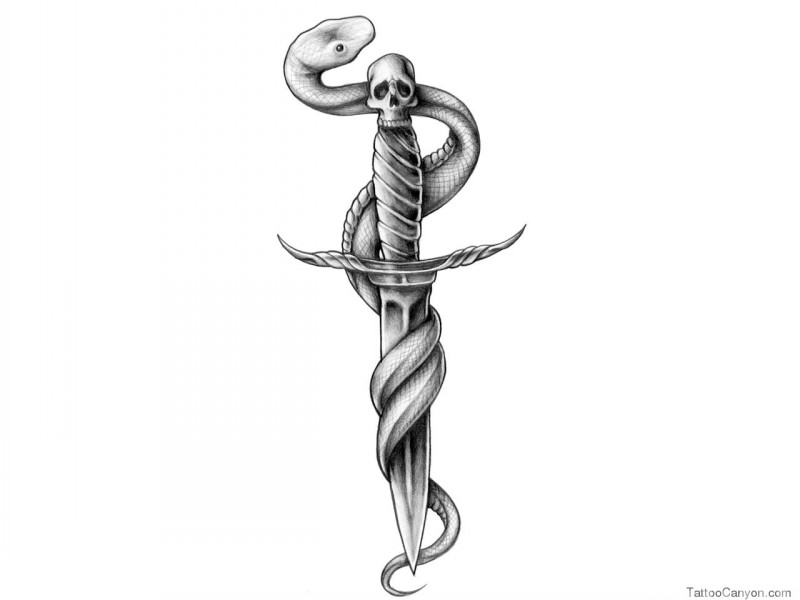 Drawn thin snake curled around dagger tattoo design