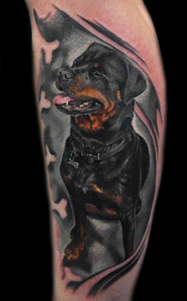 Dreadful colorful full size rottweiler tattoo on arm