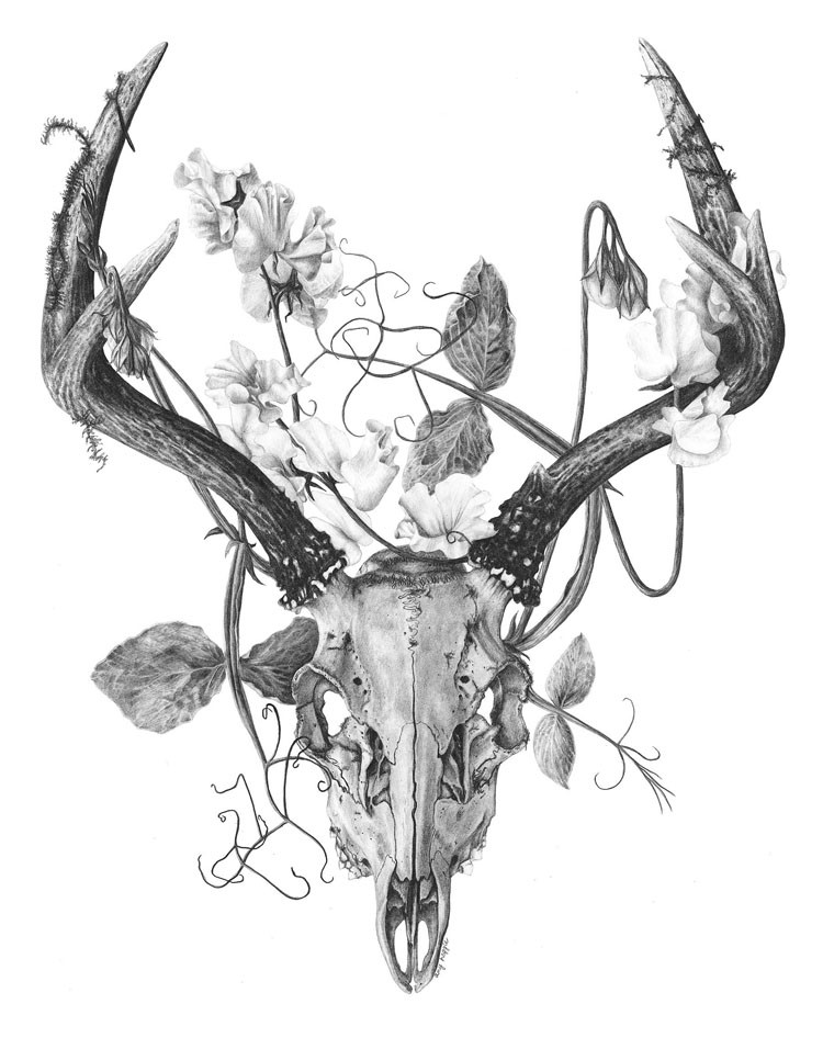 Elegant deer skyll with black decorated horns tattoo design