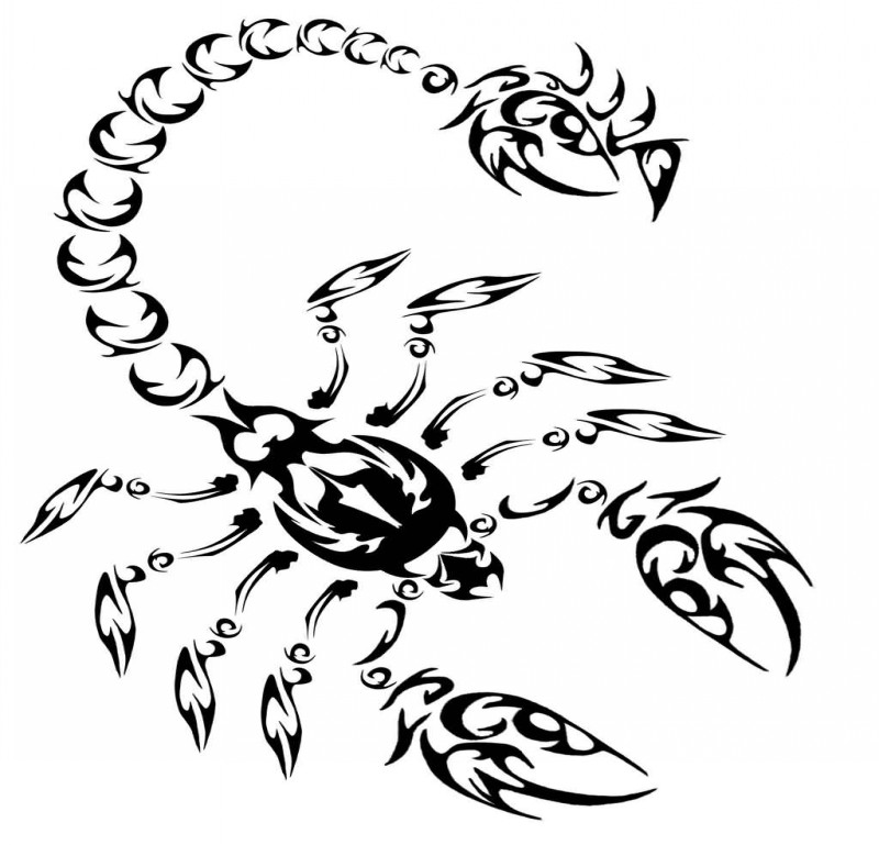 Elegant ornate tribal scorpion tattoo design
